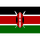 Flag of Kenya 