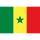 Flag of Senegal 