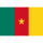 Flag of Cameroon 